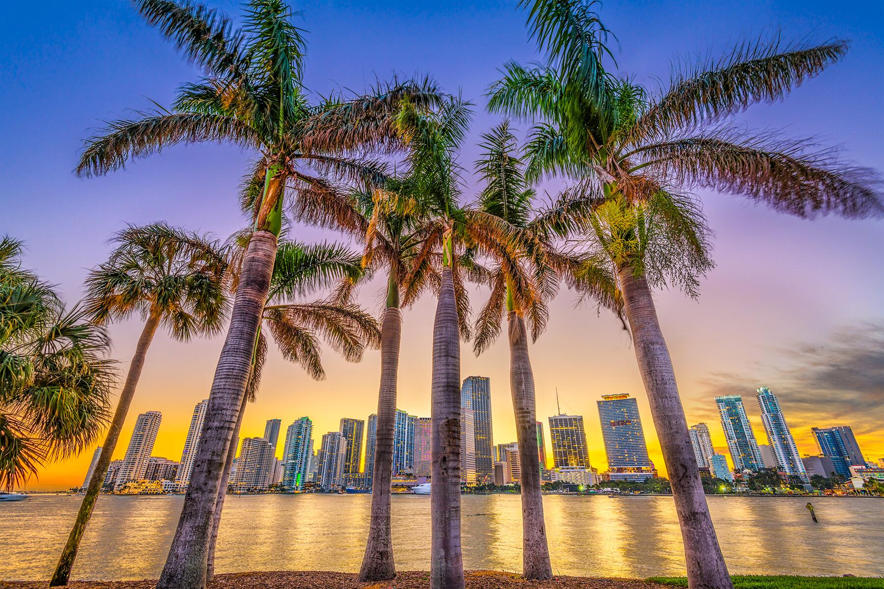 How to Spend a Perfect Day in Miami, Florida